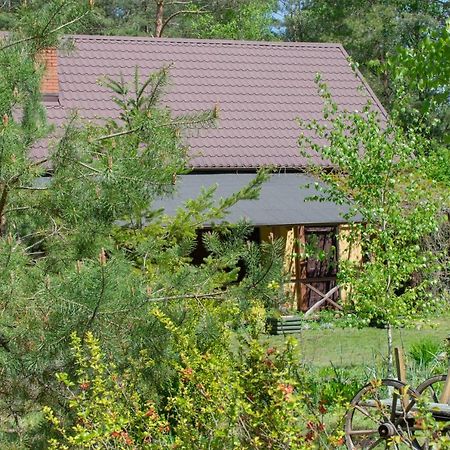 Gospodarstwo Agroturystyczne Nad Jeziorem Wsrod Lasow Lipnica  外观 照片