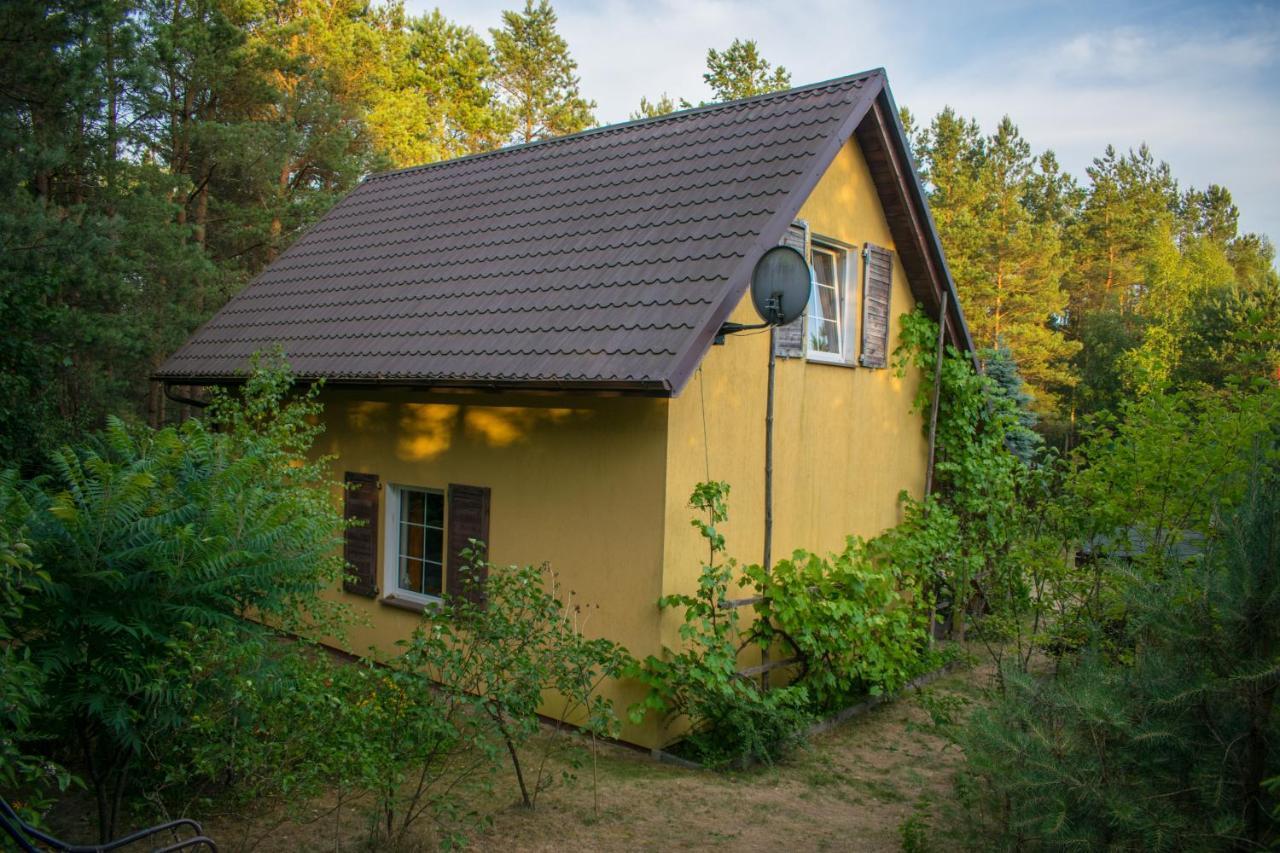Gospodarstwo Agroturystyczne Nad Jeziorem Wsrod Lasow Lipnica  外观 照片