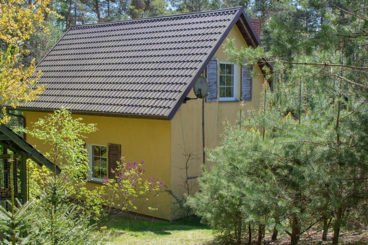 Gospodarstwo Agroturystyczne Nad Jeziorem Wsrod Lasow Lipnica  外观 照片