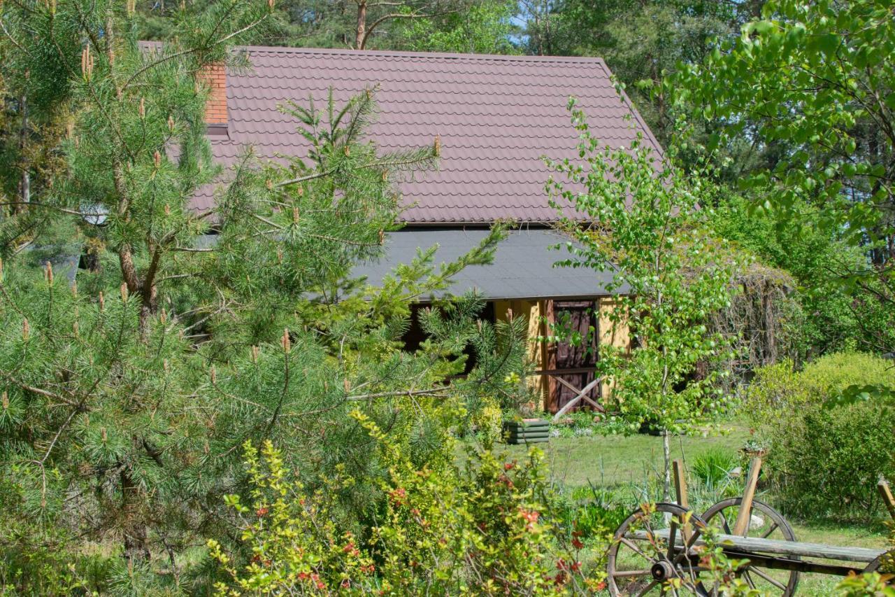 Gospodarstwo Agroturystyczne Nad Jeziorem Wsrod Lasow Lipnica  外观 照片